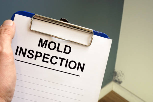 Forensic Mold Investigation in Eleele, HI